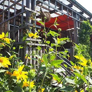Ferienhaus Holzhaus Mit Grüner Aussicht Zum Erholen, Burgheim